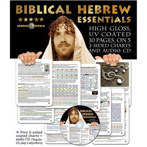 Biblical Hebrew essentials, [cd audio]