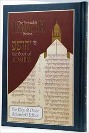 The book of Joshua : a new translation with a commentary anthologized from Talmudic, Midrashic, and rabbinic sources