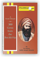 A Torah minute: 300 gems from the Ben Ish Hai vol.1